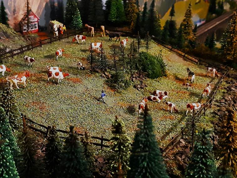 Ein Bild, das Pflanze, Weihnachtsbaum, Gras, Baum enthält.
Automatisch generierte Beschreibung