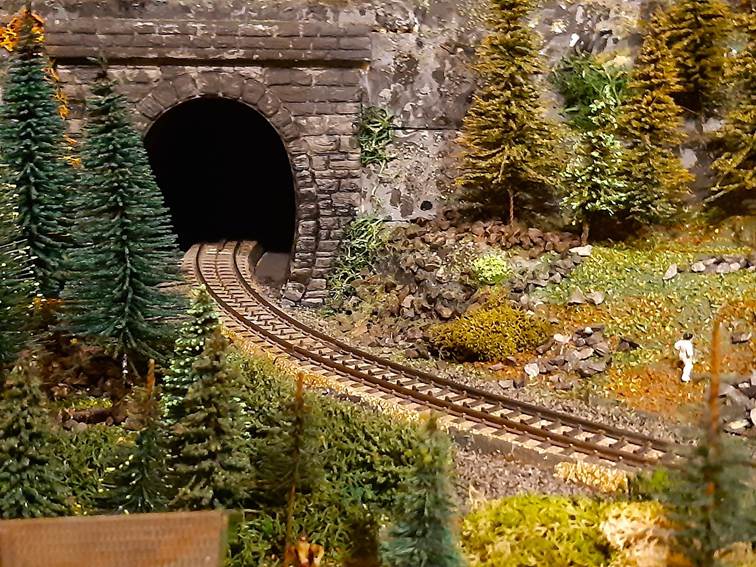 Ein Bild, das Eisenbahntunnel, Baum, Zug, Bahn enthält.
Automatisch generierte Beschreibung