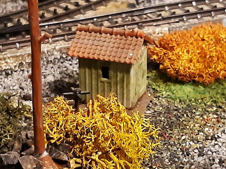 Ein Bild, das draußen, Gebäude, Pflanze, Blume enthält.
Automatisch generierte Beschreibung