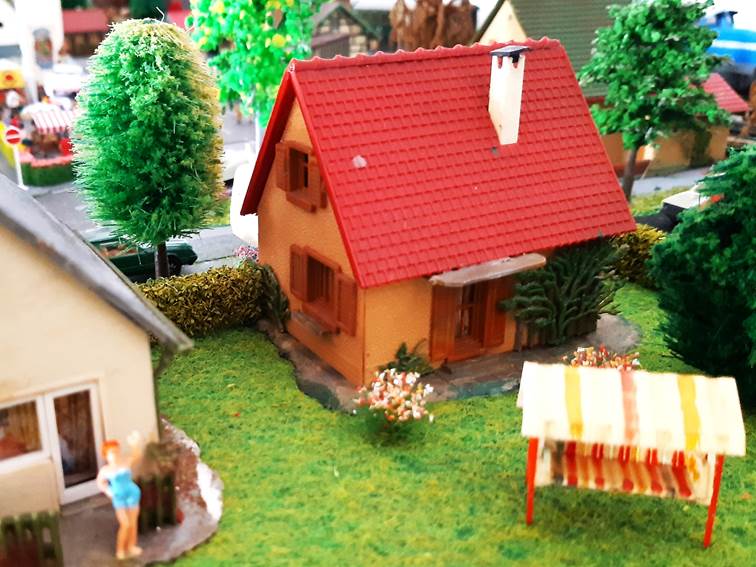 Ein Bild, das Gras, draußen enthält.
Automatisch generierte Beschreibung