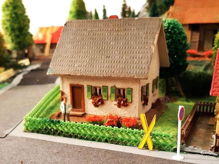 Ein Bild, das draußen, Boden, Pflanze, Garten enthält.
Automatisch generierte Beschreibung