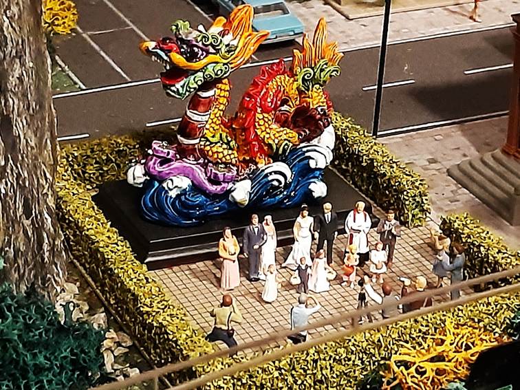 Ein Bild, das Blume, Pflanze, draußen enthält.
Automatisch generierte Beschreibung