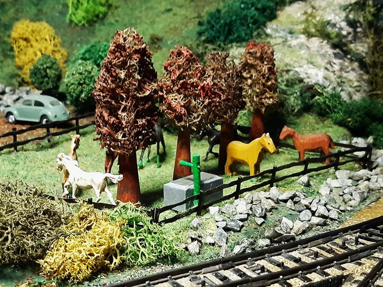 Ein Bild, das Pflanze, Zug, Maßstabsmodell, Pferd enthält.
Automatisch generierte Beschreibung